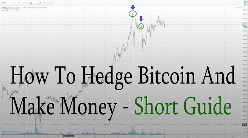 How To Hedge Bitc!   oin And Make Money Short Guide Steemit - 